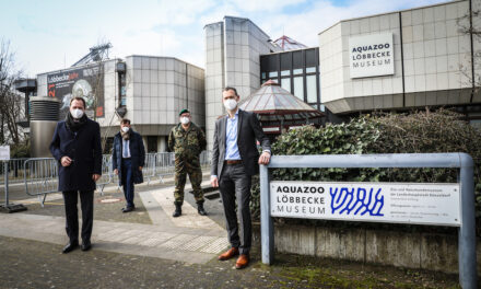 Soldatinnen und Soldaten besuchen das Aquazoo Löbbecke Museum