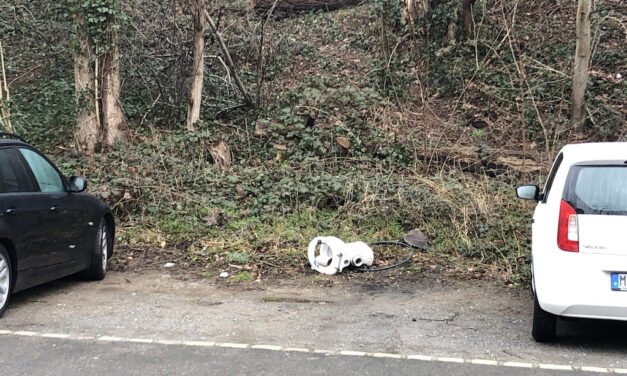 Muss das sein? Klo im Wald