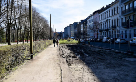 Hofgarten: Keine Baumfällung für Baustraße