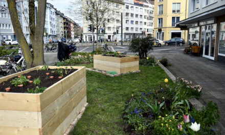 Ein Hochbeet für den Carl-Mosterts-Platz