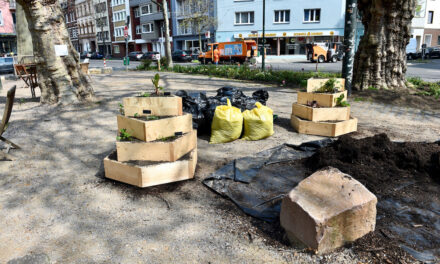 Platz an der Parkstraße Ecke Marschallstraße bekommt Kräuterhochbeete