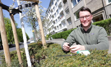 Gartenamt bewässert Bäume und gibt Gießsäcke an interessierte Düsseldorfer aus