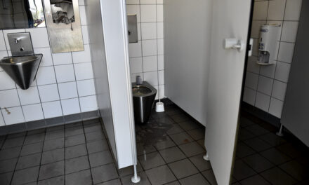 Toilettenanlage an der Burgplatztreppe gleicht einem Freibad