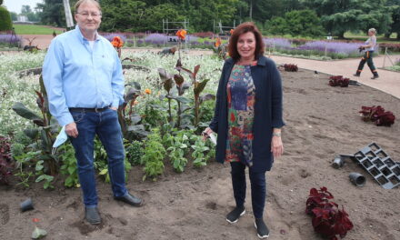 100.000 Sommerblumen für Düsseldorf