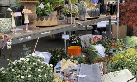 ULMENMARKT Düsseldorf ist nach siebenmonatiger Coronapause wieder da!