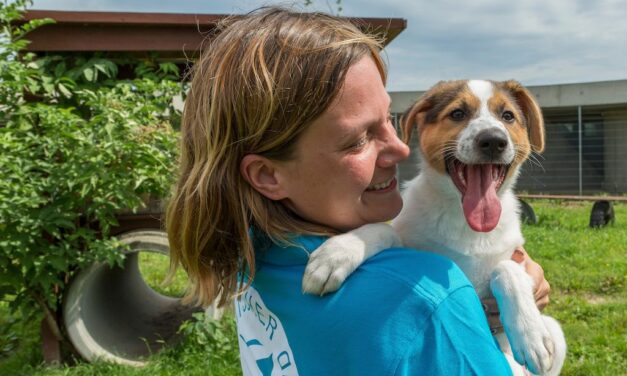 Drama um „Corona-Tiere“: Tierheime füllen sich