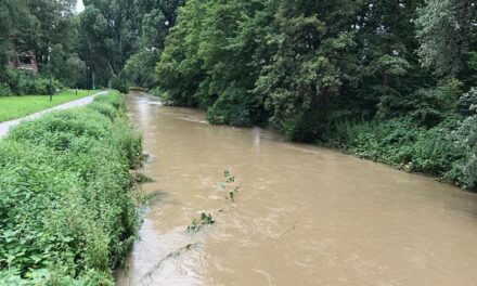 “Jahrtausend-Hochwasser” der Nördlichen Düssel stellt ganz neue Anforderungen an den Deichbau