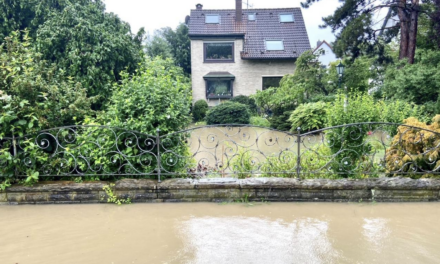 Ostpark-Siedlung: Info-Point der Stadt ab sofort geöffnet