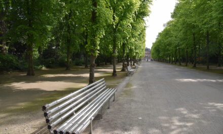 Lichtbänke sollen im Herbst saniert in den Hofgarten zurückkehren