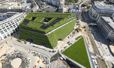 “Einfach Grün. Greening the City” – Ausstellung zur Bedeutung des städtischen Grüns