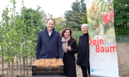 Aktion “Dein Baum”: Gartenamt stellt 200 Bäume für private Gärten in Düsseldorf bereit