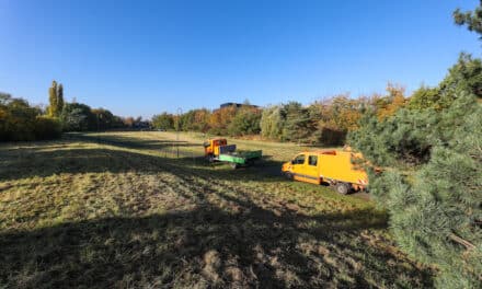 Eine Blühwiese über der Autobahn