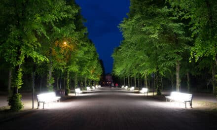 Lichtbänke kehren in den Hofgarten zurück