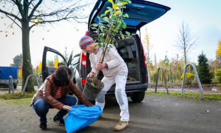 Aktion “Dein Baum” ist erfolgreich angelaufen