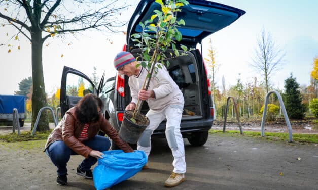 Aktion “Dein Baum” ist erfolgreich angelaufen