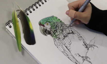 Tiere lebendig zeichnen — Workshop für Erwachsene