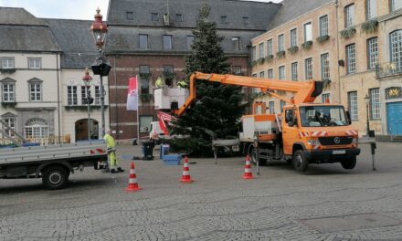 Elf Tannen sorgen für vorweihnachtliche Stimmung in Düsseldorf