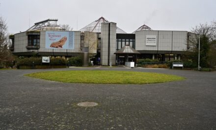 Aquazoo Löbbecke Museum: Hauptaufzug vorübergehend außer Betrieb