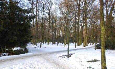 Stadt weist auf Räum- und Streupflicht von Anliegern hin