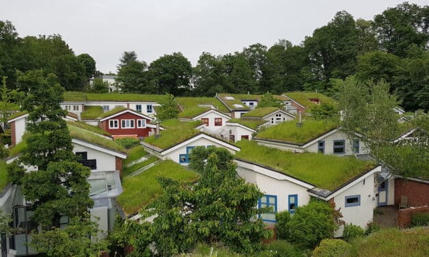 “Mach was draus!” — Bis zu 400 Euro Förderung für Umweltprojekte