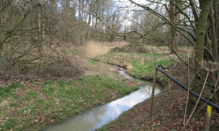 Öffentliche Gewässerschau an Pillebach und Fliethbach