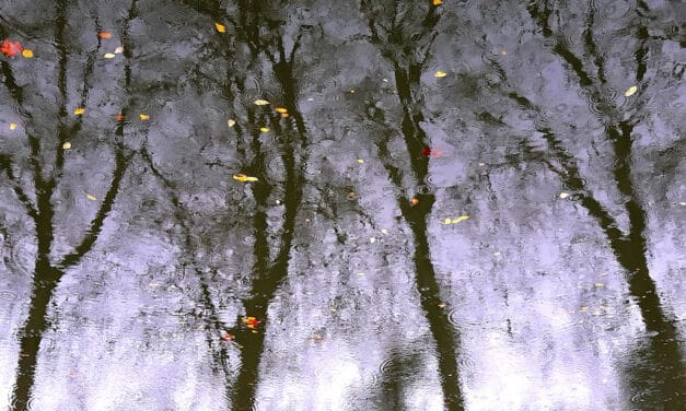 Fotoausstellung zur Klimaanpassung Düsseldorf Toulouse noch bis 6. März zu&nbsp;sehen