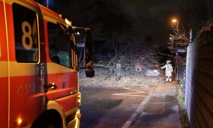 Sturmtief Wencke verursacht einige wetterbedingte Einsätze für die Feuerwehr in Düsseldorf – keine Personenschäden gemeldet