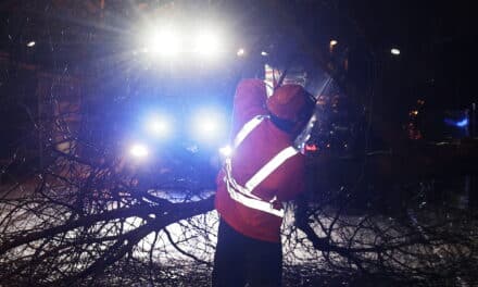 Umgestürzter Baum in Oberleitung