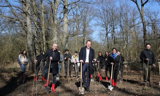 Sparkassen-Azubis forsten den Stadtwald auf