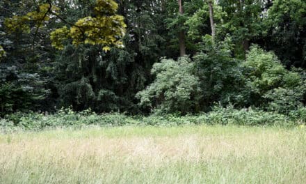 “Unterwegs im Grünen” startet in die neue Saison