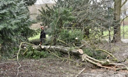 Nach dem Sturm wird jetzt aufgeräumt