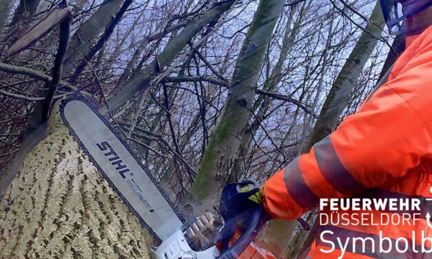 Feuerwehr rückte zu 77 wetterbedingten Einsätzen aus