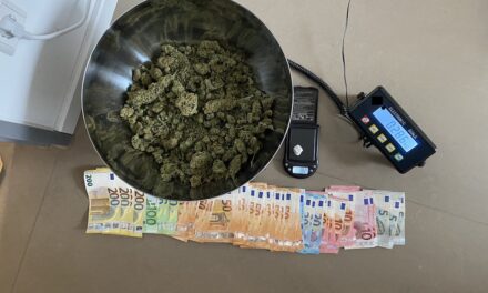 Polizei findet Cannabis und Kokain