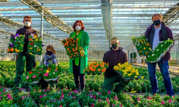 Fast 250.000 neue Blumen blühen in der Stadt&nbsp;auf