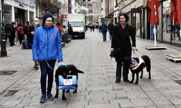 Assistenzhunde willkommen: Zutrittskampagne des Pfotenpiloten e. V. jetzt auch in Düsseldorf