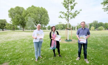 Gartenamt präsentiert Parkpflegewerk für den Rheinpark Golzheim