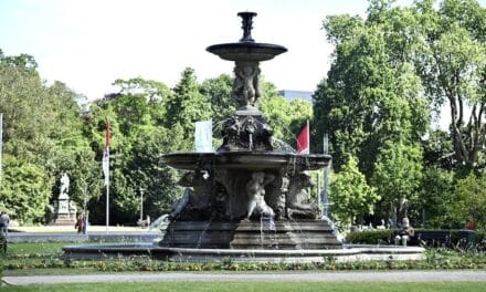 100.000 Sommerblumen für Düsseldorf: Stadtgärtner setzen bunte Farbakzente