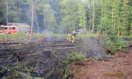Bodenfeuer in einem Waldstück verursacht aufwendigen Feuerwehreinsatz