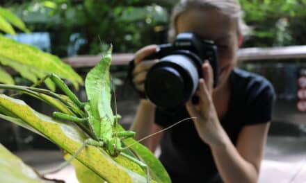 Tierfotografie – Workshop für Erwachsene im Aquazoo