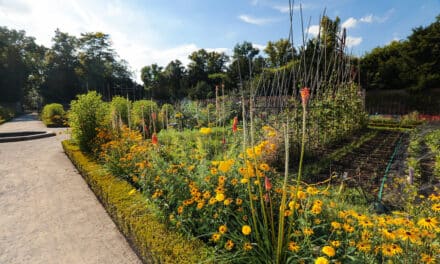 Gartenamt veranstaltet Führungen im Oktober