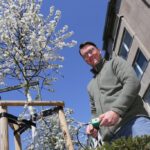 Gartenamt bewässert Stadtbäume mit moderner Sensorik