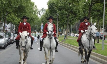 Pferd stirbt beim Umzug auf der Königsallee