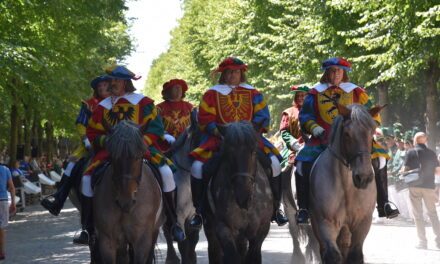 Schützenumzug und Parade auf der Jägerhofallee ohne Pferde