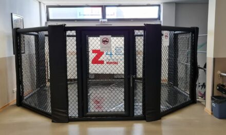 Einweihung eines neuen Boxrings in der Jugendfreizeiteinrichtung Z4