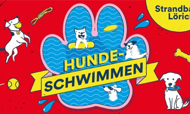 Hundeschwimmen in Düsseldorf