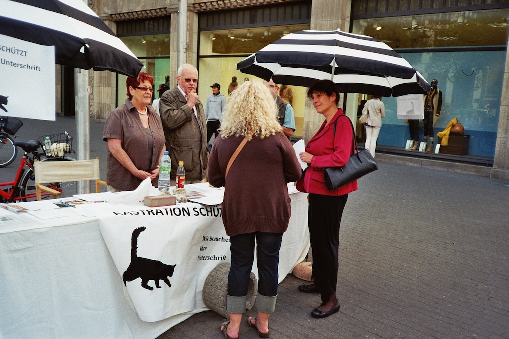 Foto Katzenschutzbund