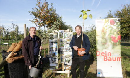 Gartenamt stellt 225 Bäume für private Gärten in Düsseldorf bereit