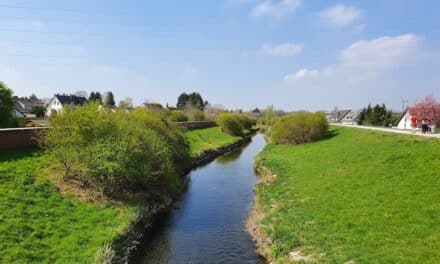 Öffentliche Gewässerschau am Brückerbach in Düsseldorf Wersten