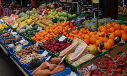 Großmarkt-Entscheidung: Stadt geht gegen Urteil des Verwaltungsgerichts Düsseldorf vor