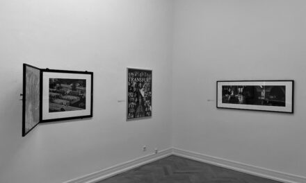 “Walter Vogel – Fotografische Objekte” im Stadtmuseum